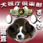 犬視庁ざくろ巡査