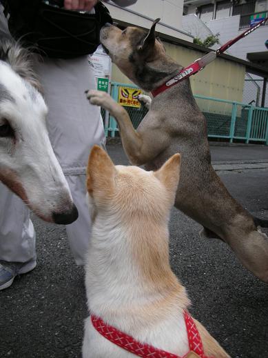 おやつー!