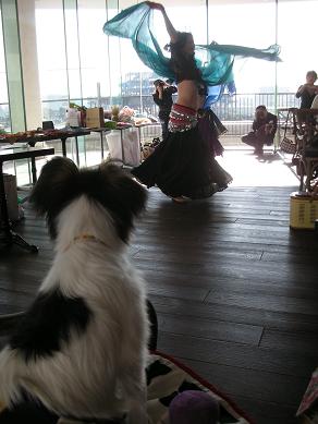 何事じゃー!