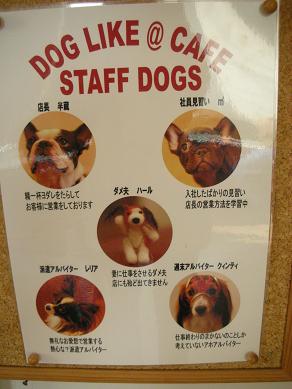 働く犬たち