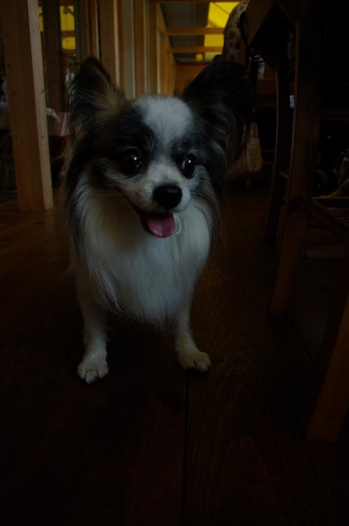 IMGP0016.JPG