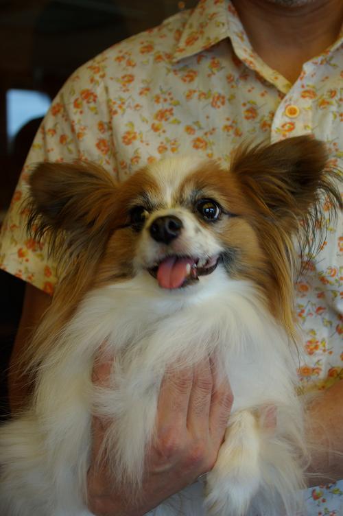 IMGP0111.JPG