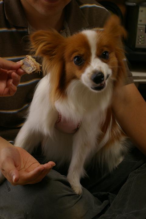 IMGP2288.JPG