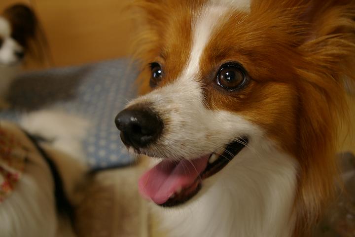 IMGP2297.JPG