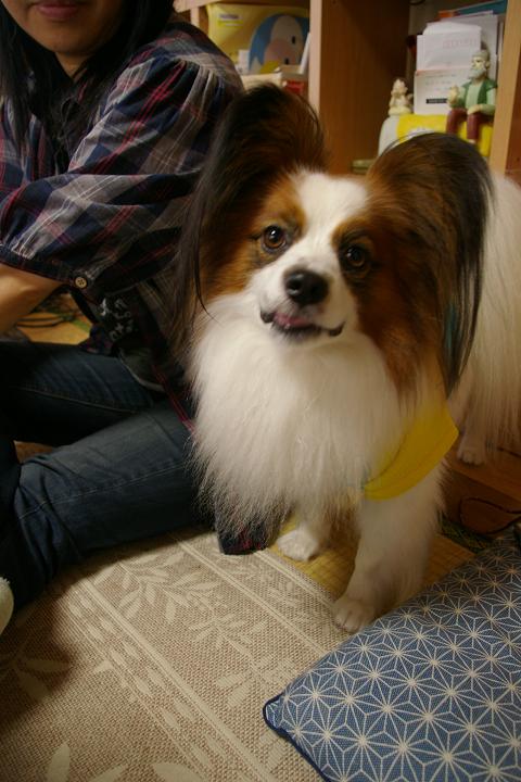 IMGP2303.JPG