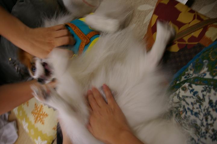IMGP2313.JPG