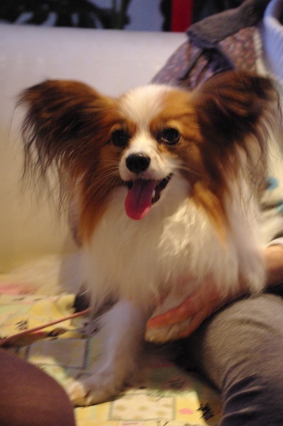 IMGP2547.JPG