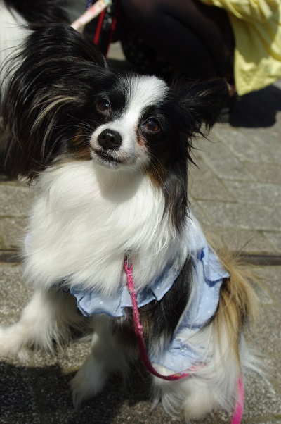 IMGP3388.JPG