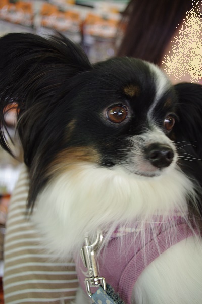 IMGP3418.JPG