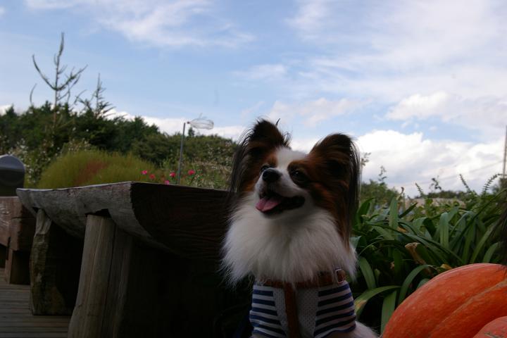 IMGP7106.JPG
