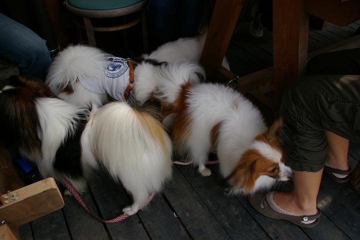 IMGP7124.JPG
