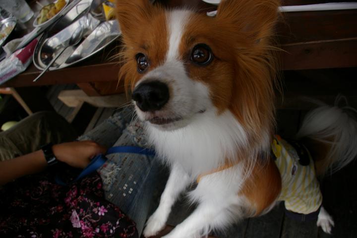IMGP7158.JPG