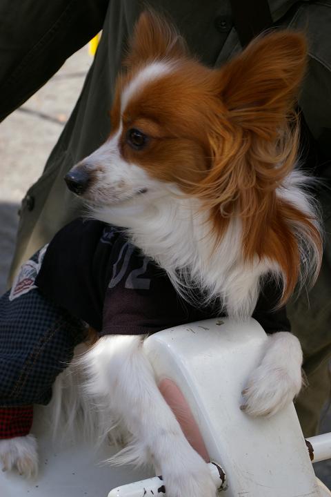 IMGP7385.JPG
