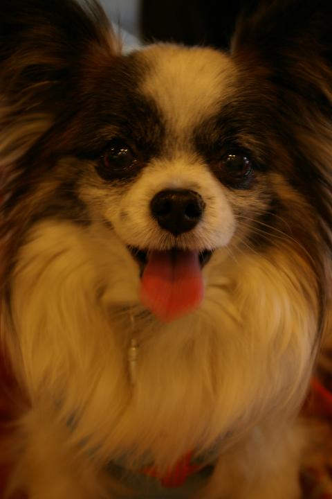 IMGP7409.JPG