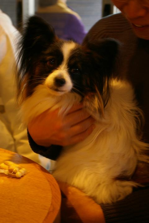 IMGP7414.JPG