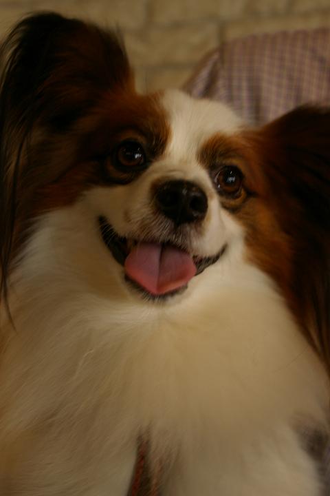 IMGP7421.JPG