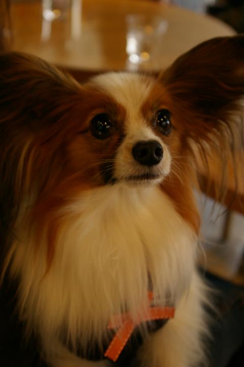 IMGP7425.JPG