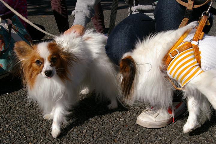 IMGP7813.JPG