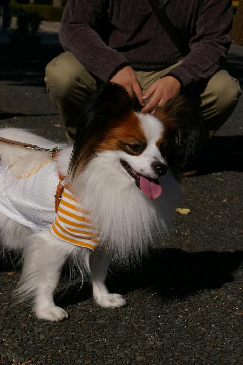 IMGP7815.JPG