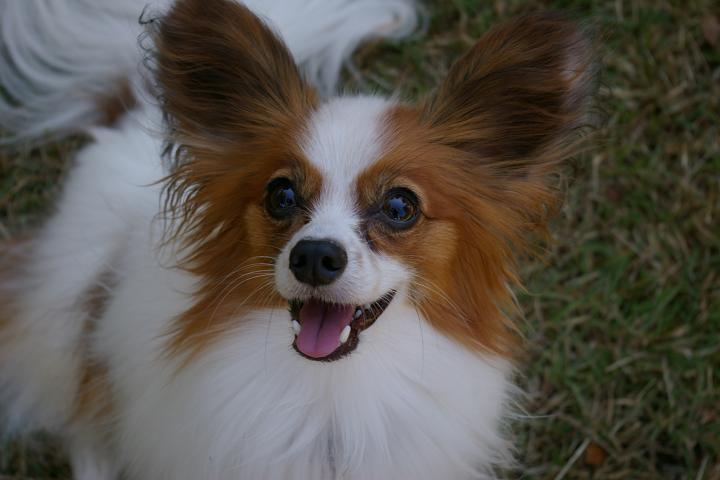 IMGP7821.JPG