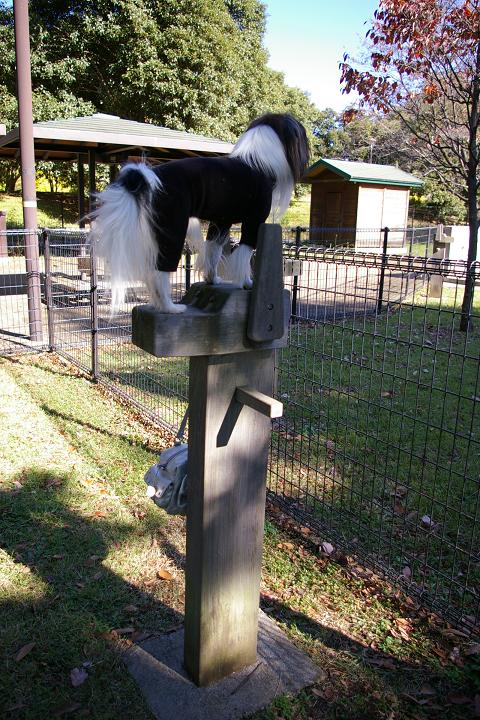 IMGP7844.JPG
