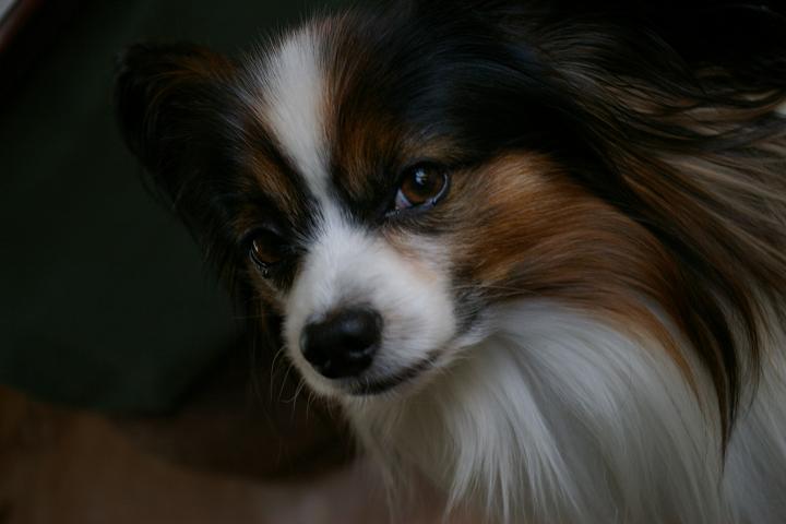 IMGP9122.JPG